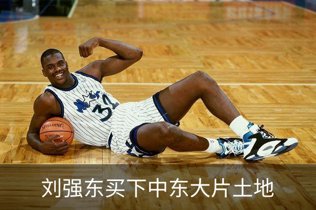 刘强东买下中东大片土地